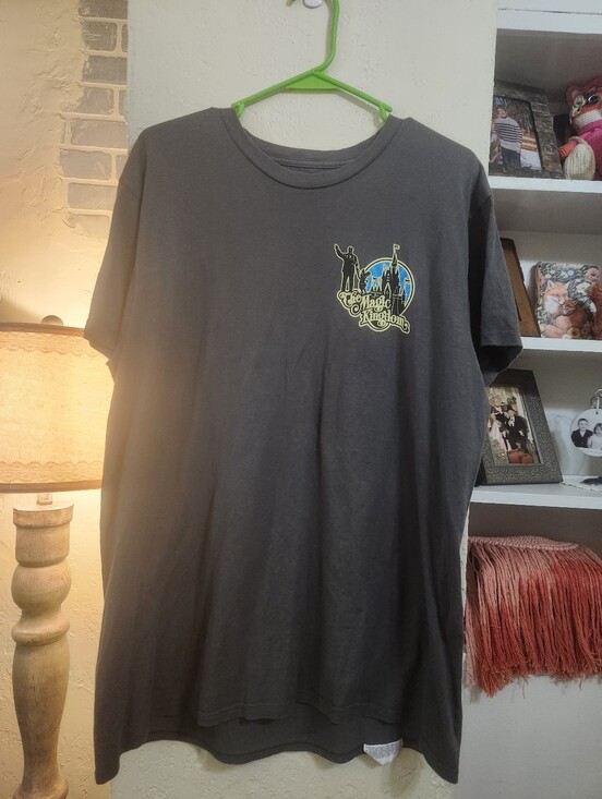 Disney Other - Disneyland Walt Disney World Fantasyland T-shirt Size Large P2p 21.5